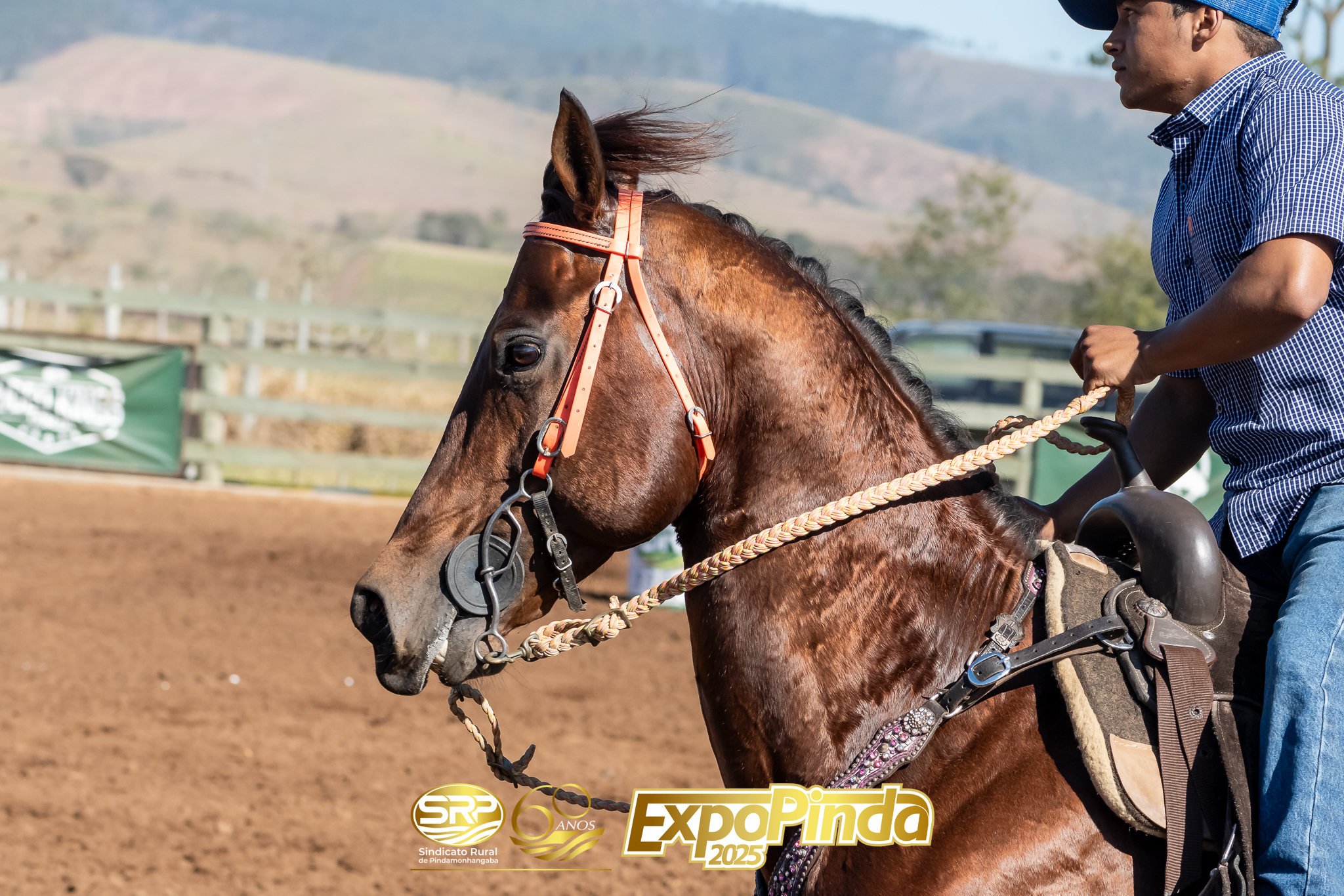 3tambores 042
