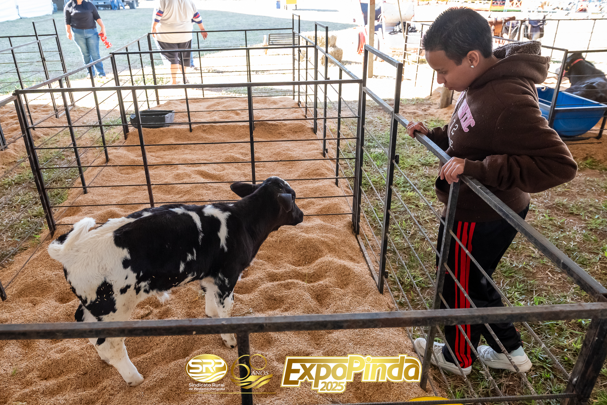 Animais-004