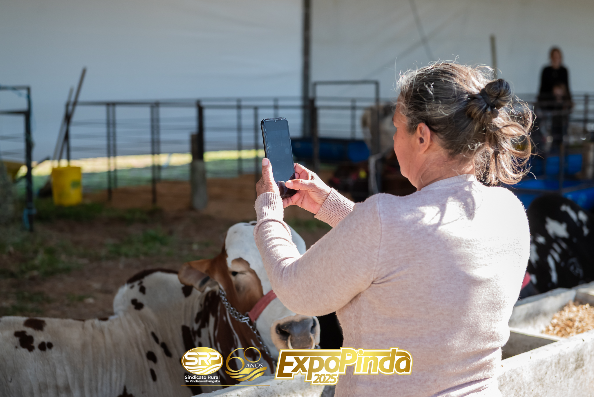 Animais-014