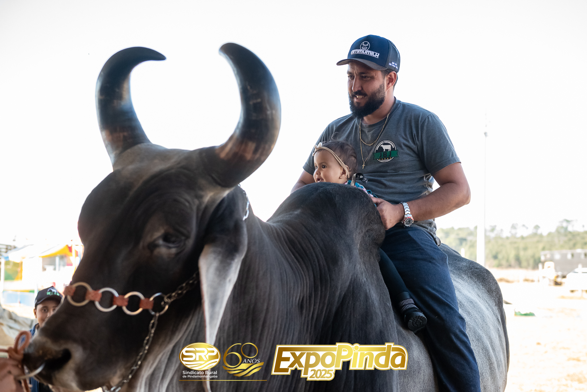 Gerais-029