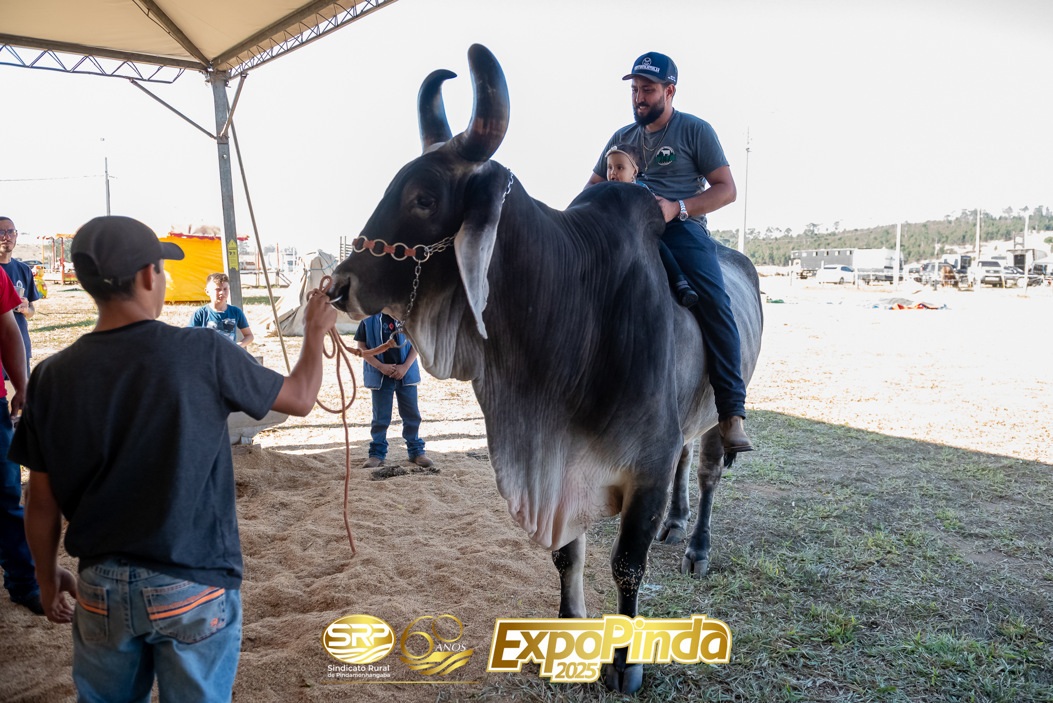 Gerais-030