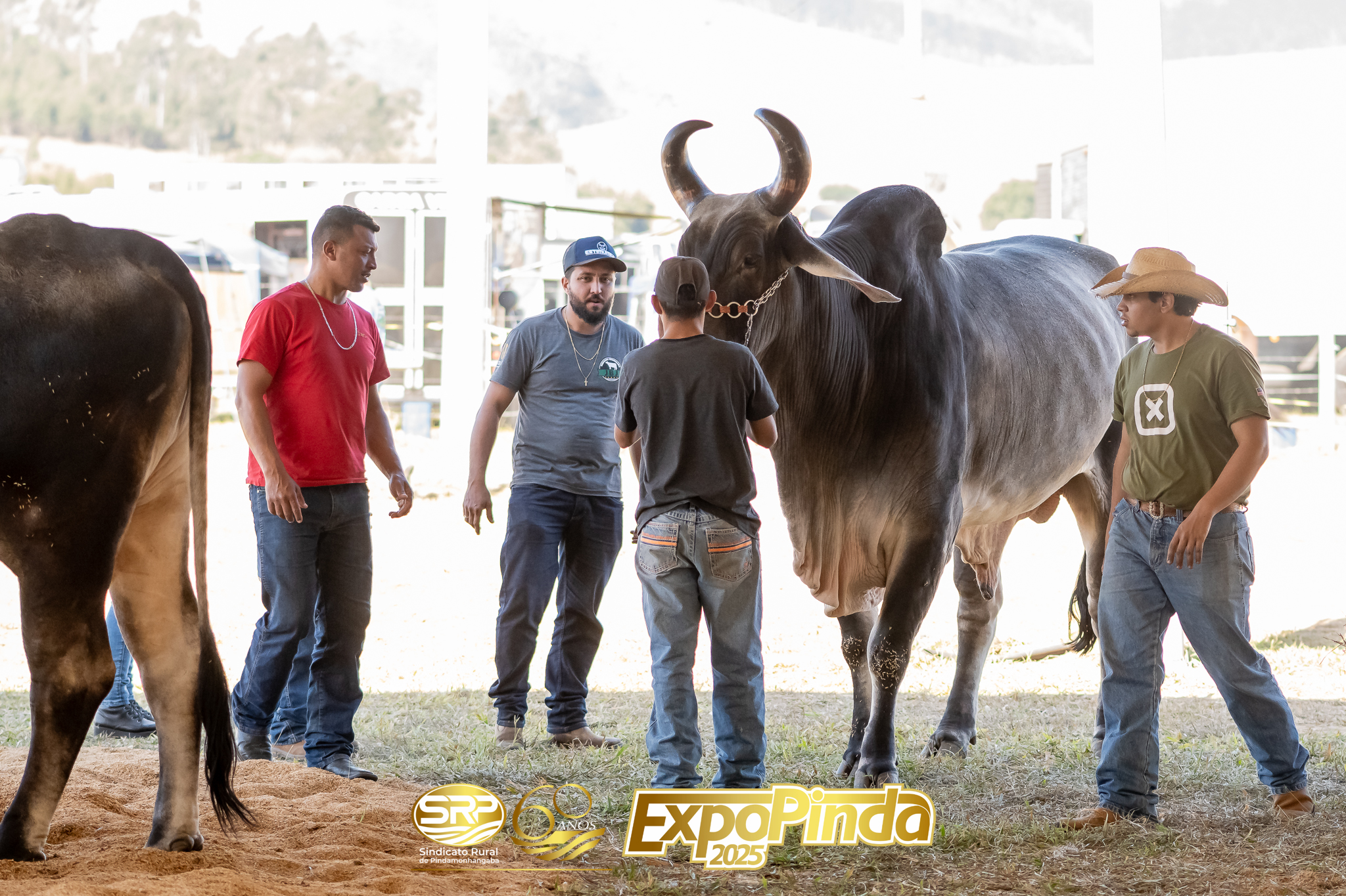 Gerais-039