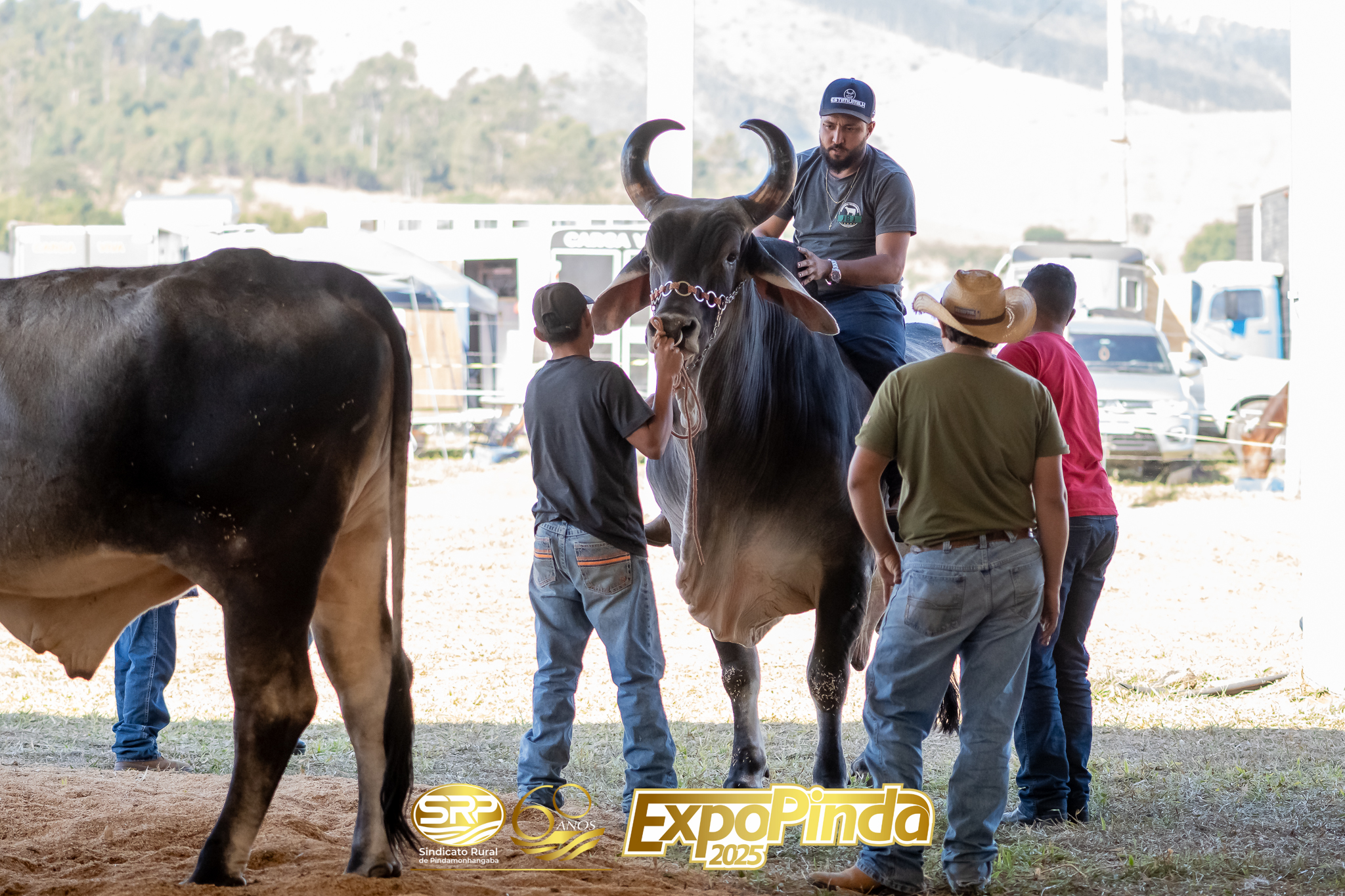 Gerais-040