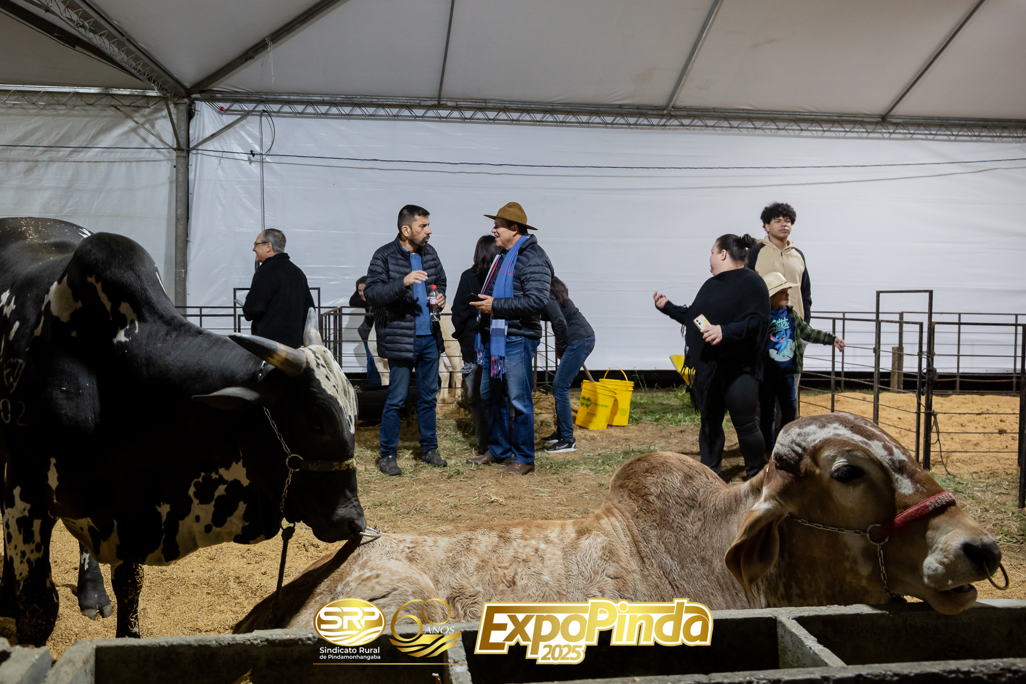 Gerais-091