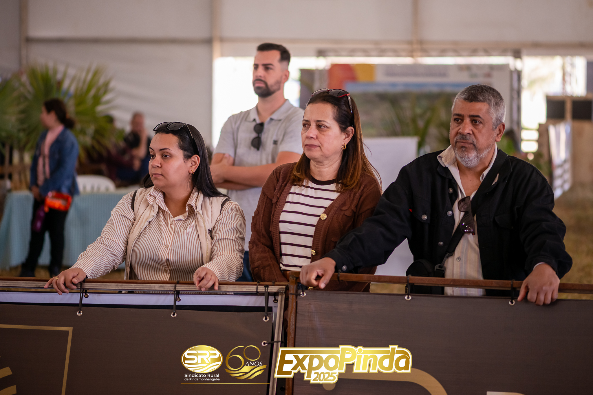 Geral-041