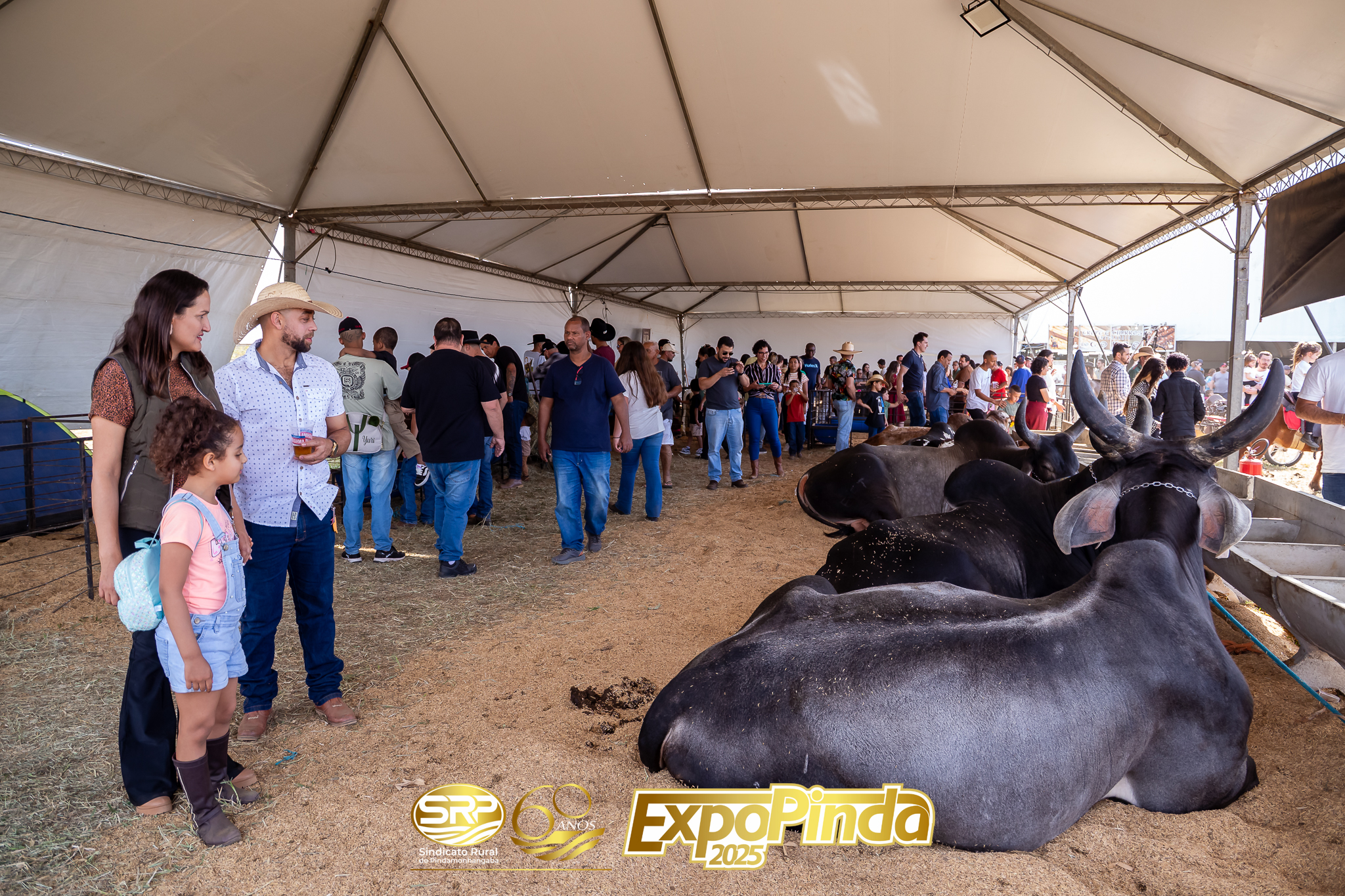 Geral-141