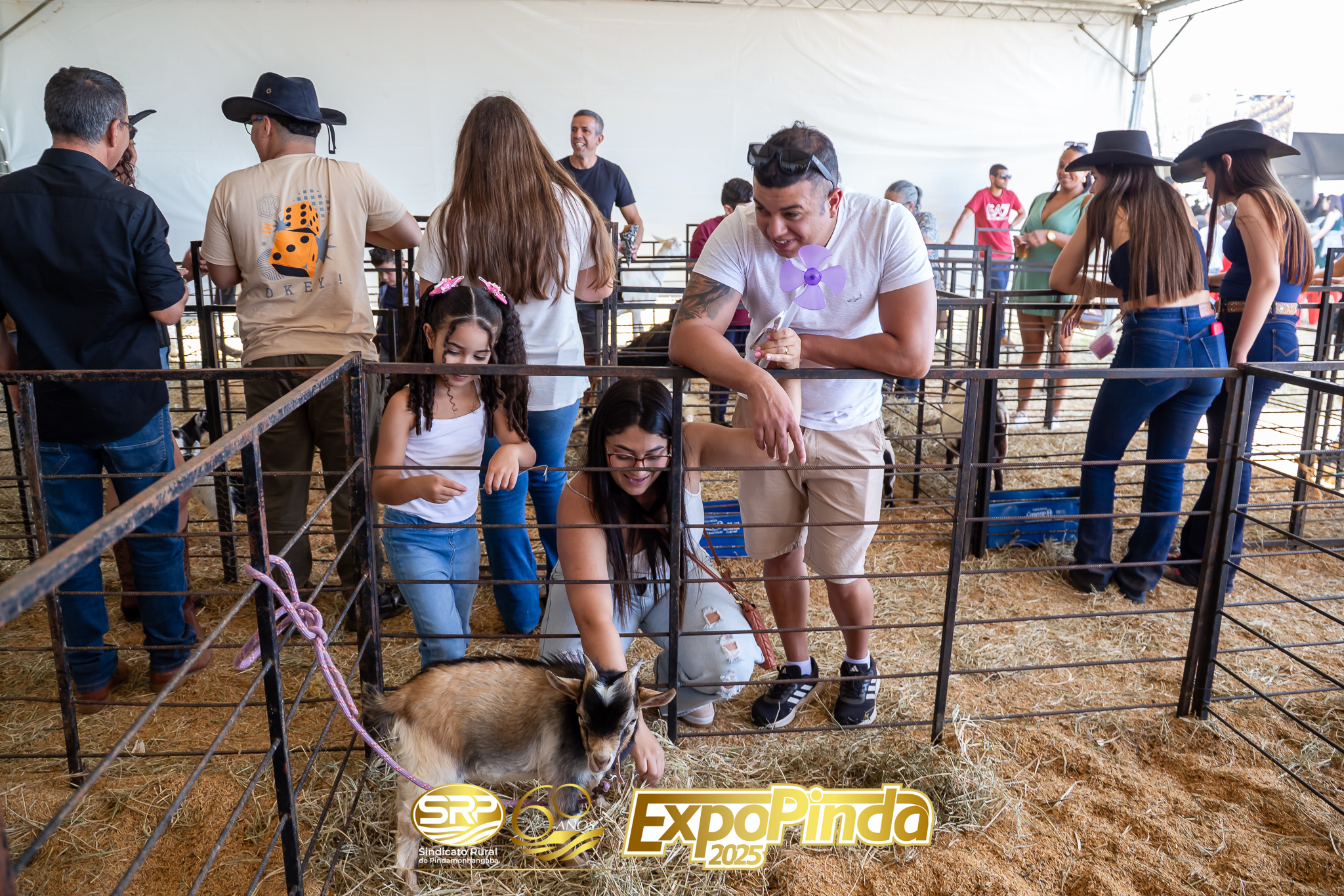 Geral-148