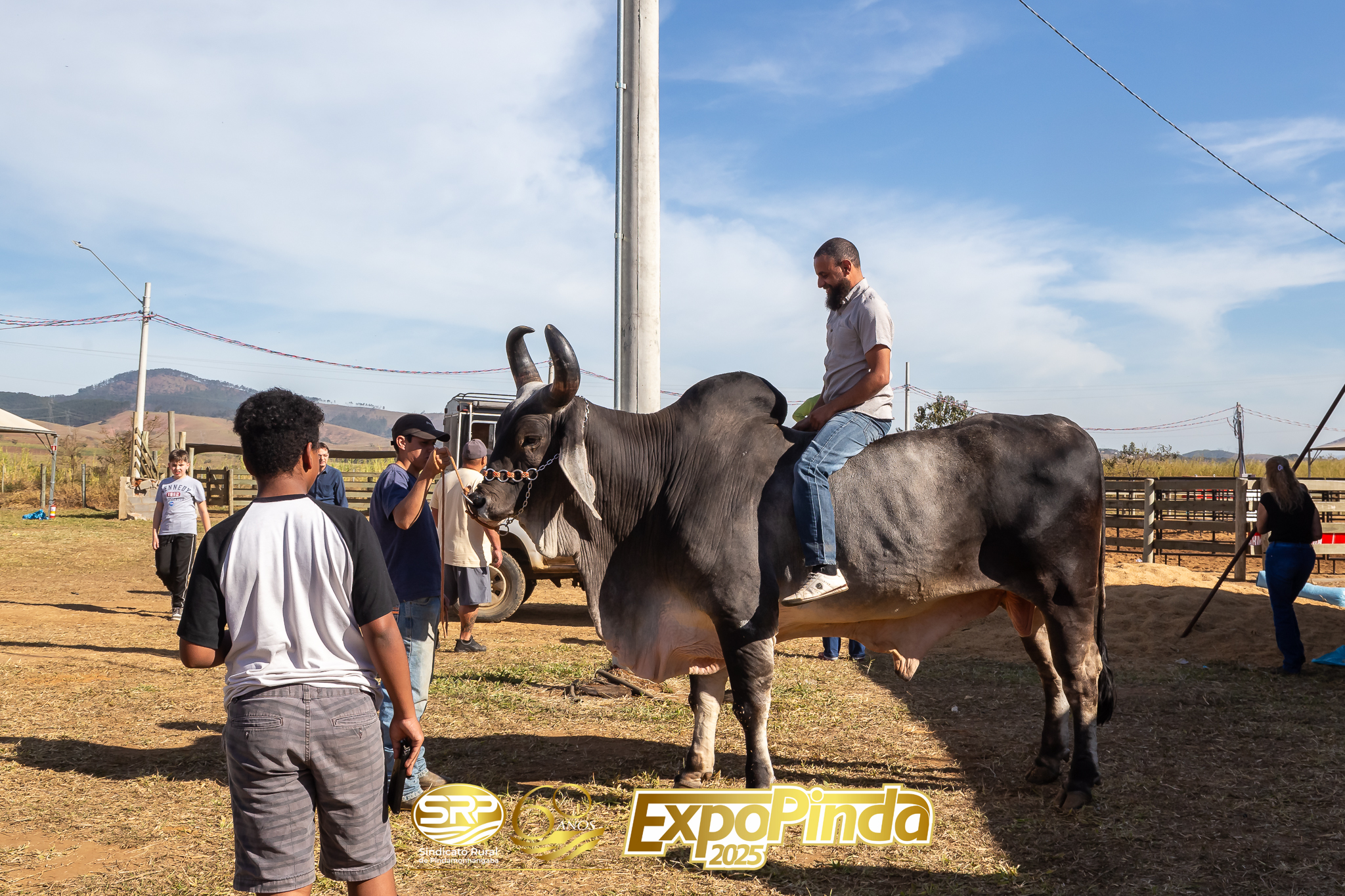 Geral-162
