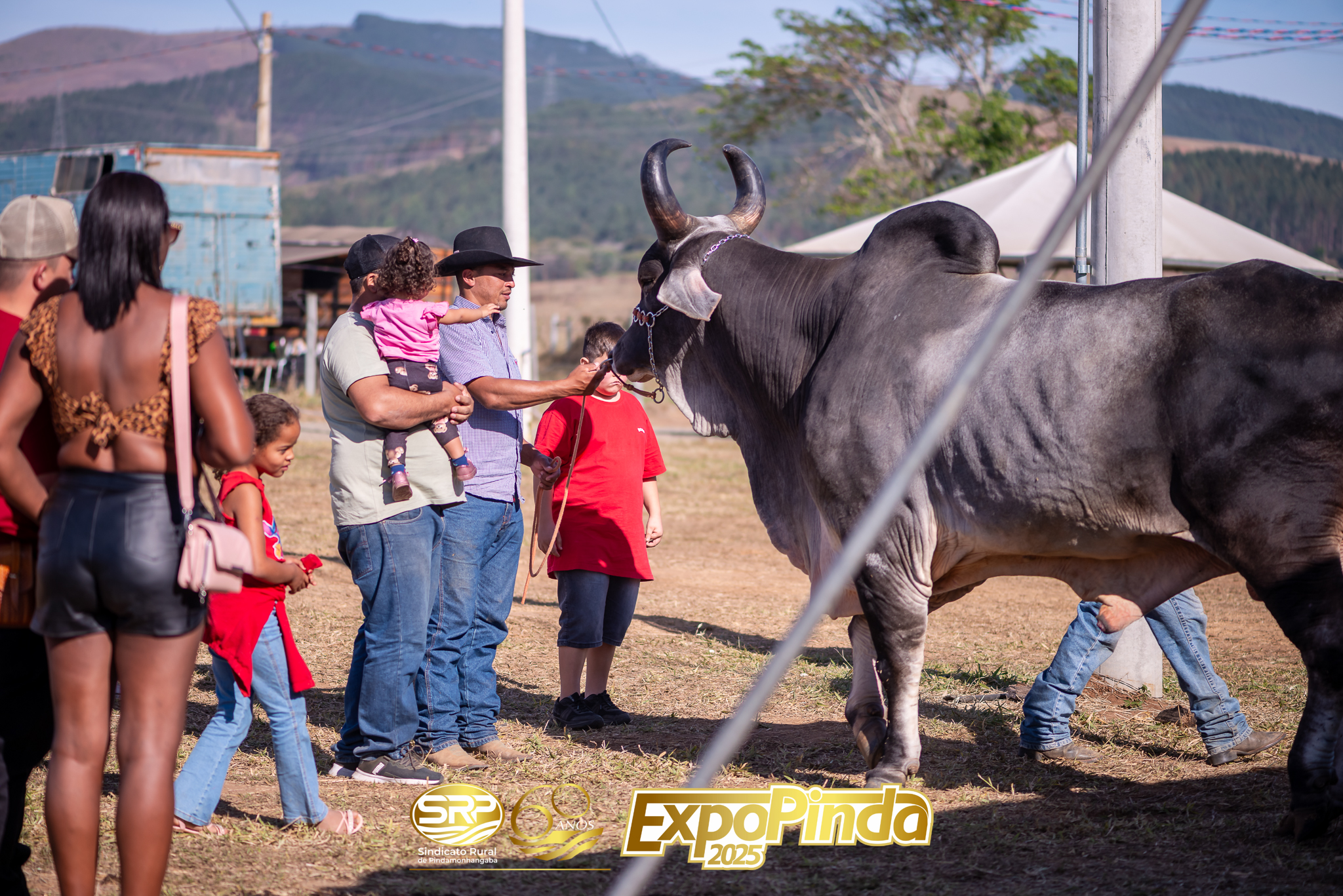 Geral-168