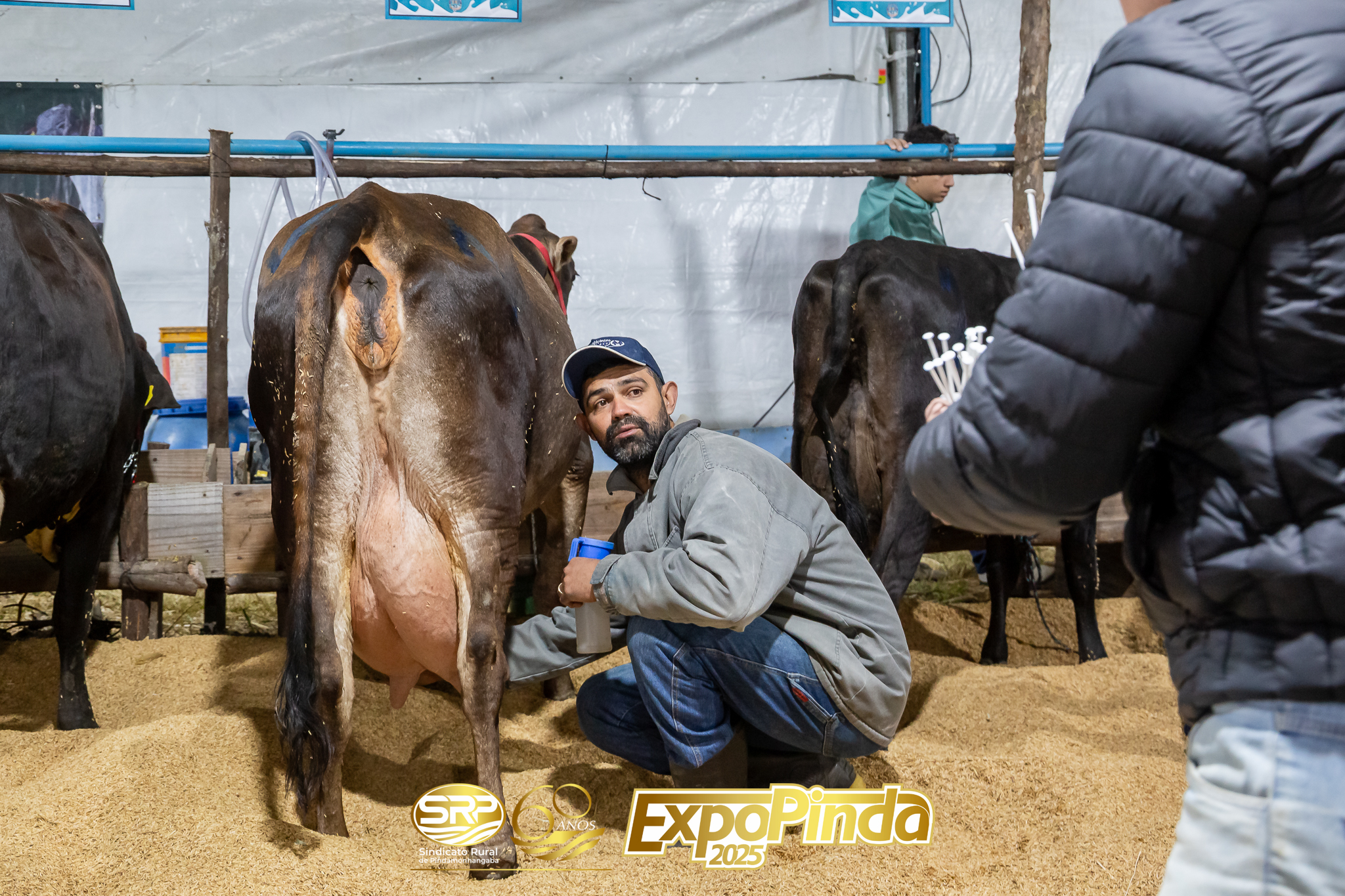 Leiteiro-019