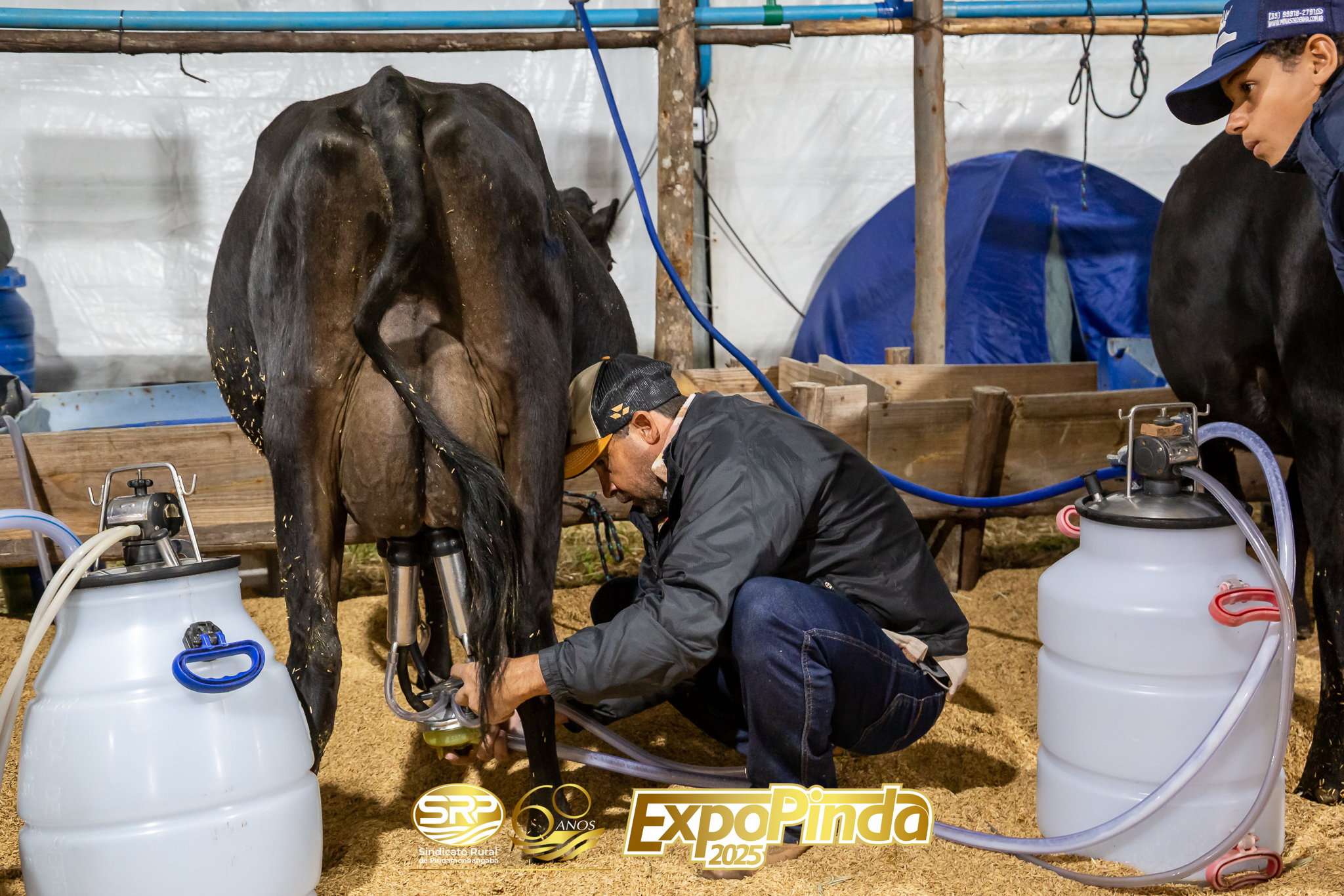 Leiteiro-024