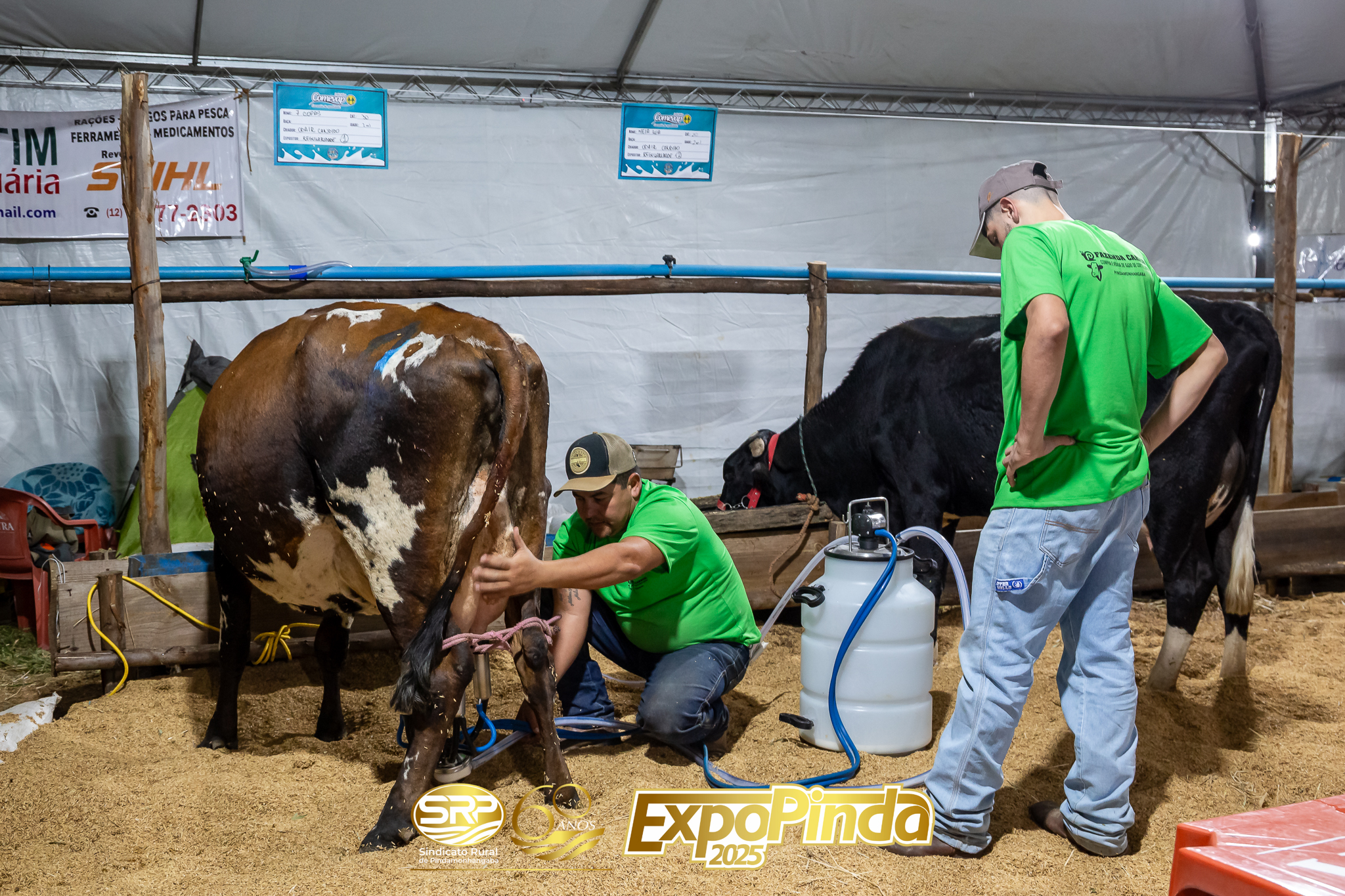 Leiteiro-026