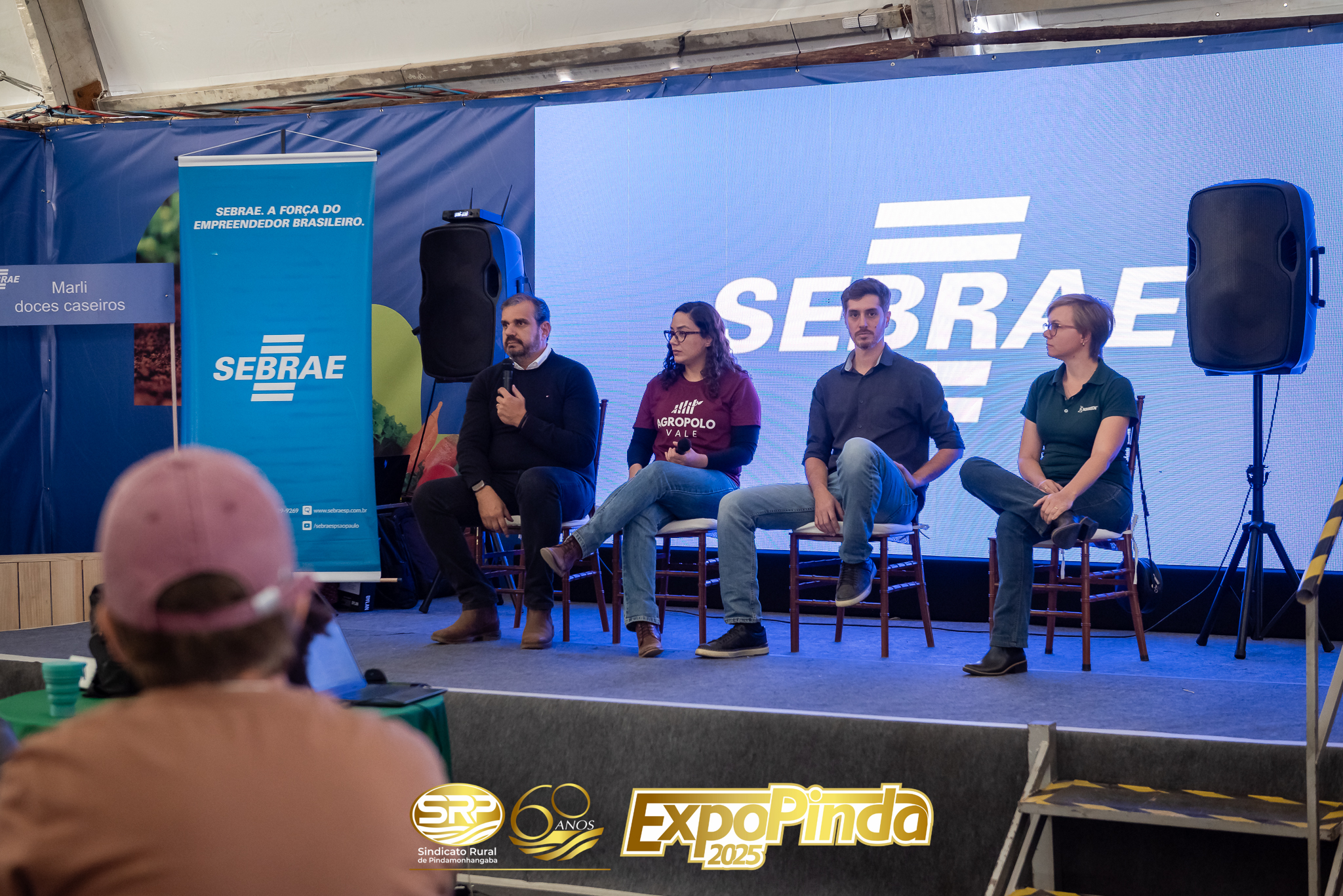 Sebrae-001