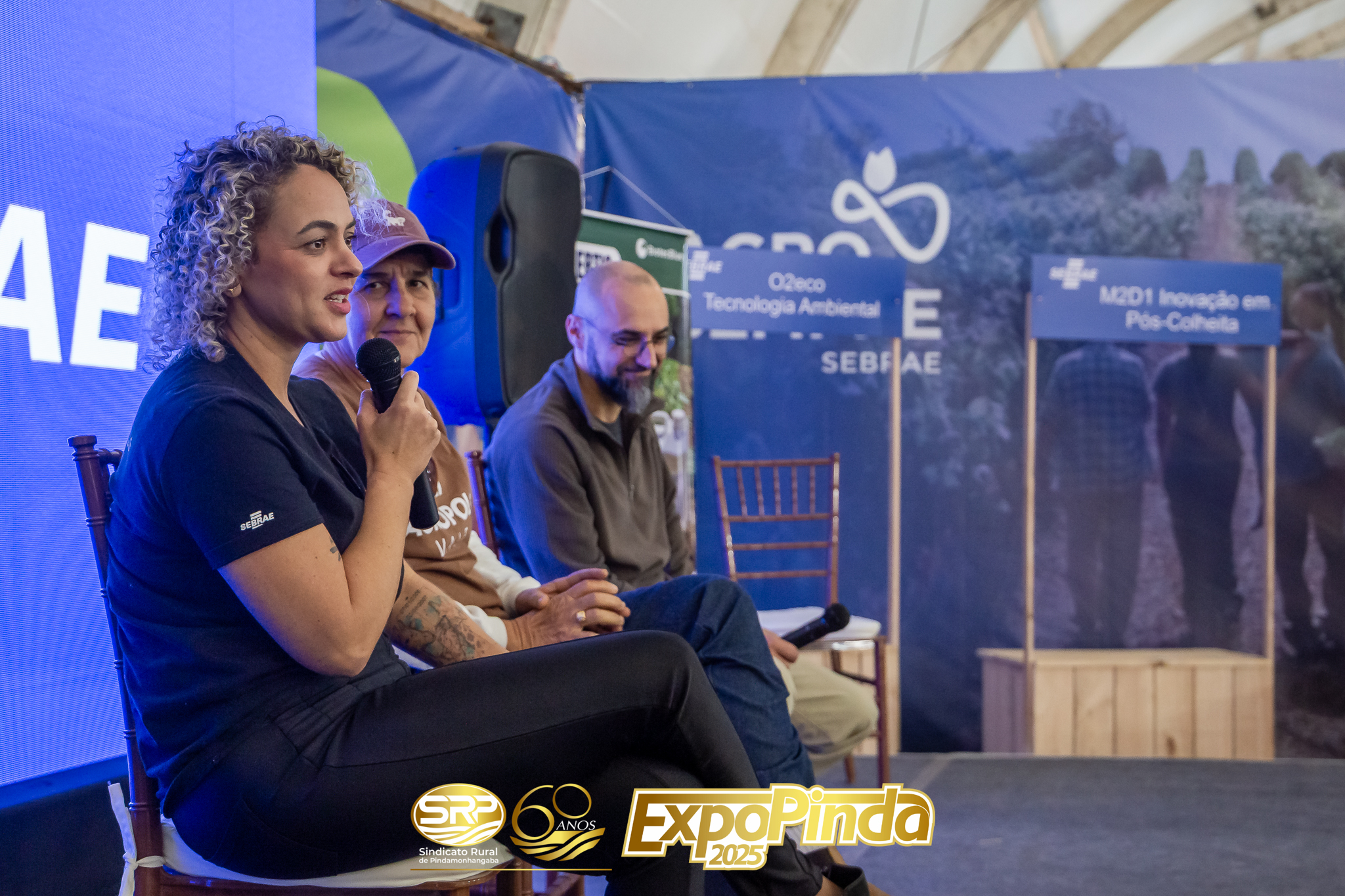 Sebrae-003