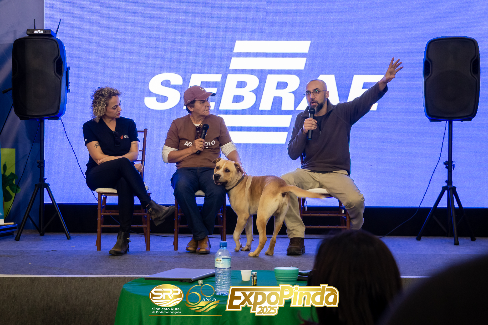 Sebrae-010