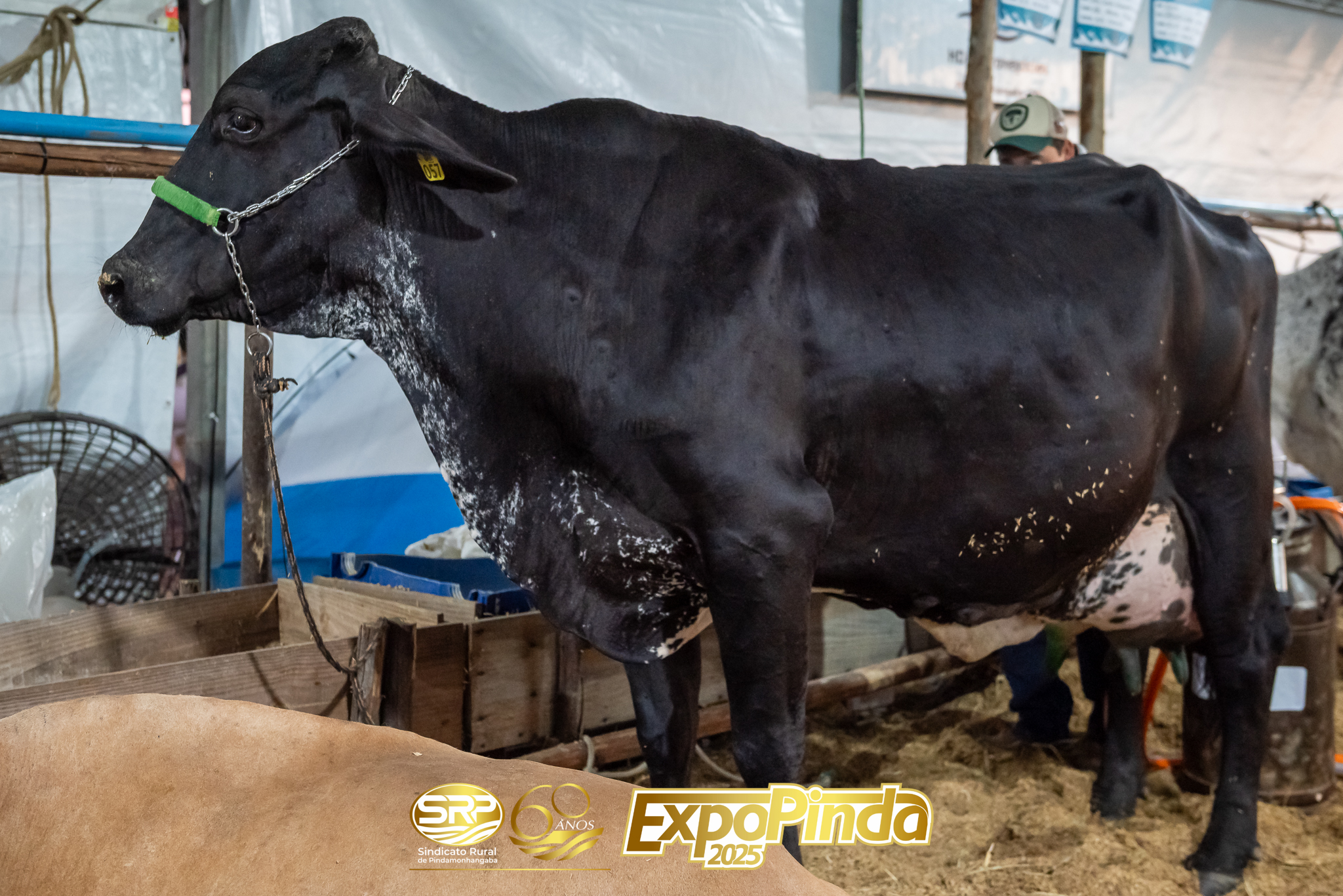 TorneioLeiteiro-011