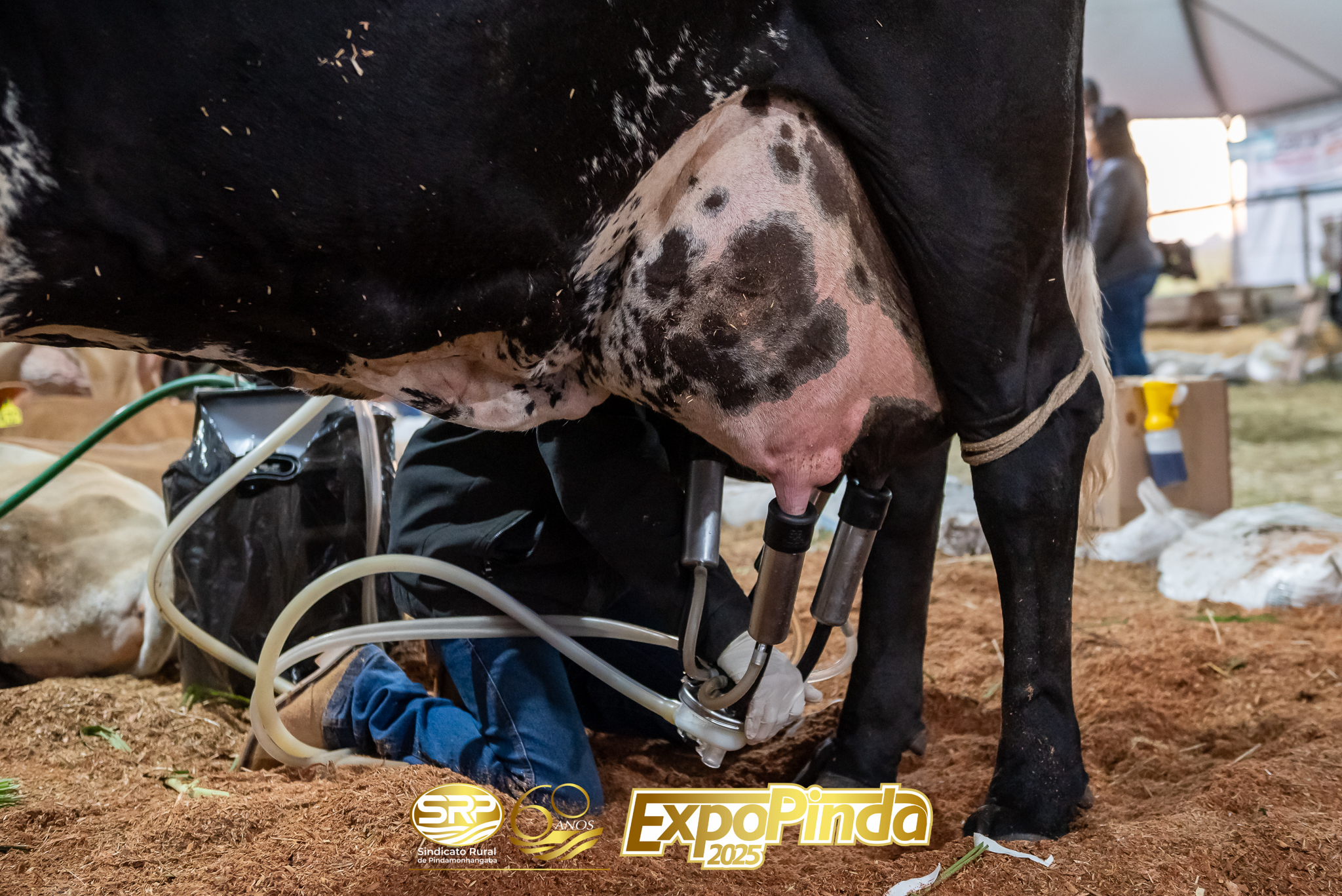 TorneioLeiteiro-014