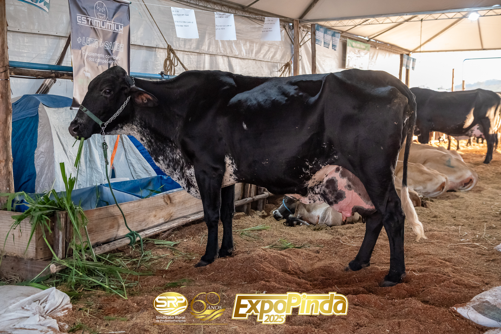 TorneioLeiteiro-026
