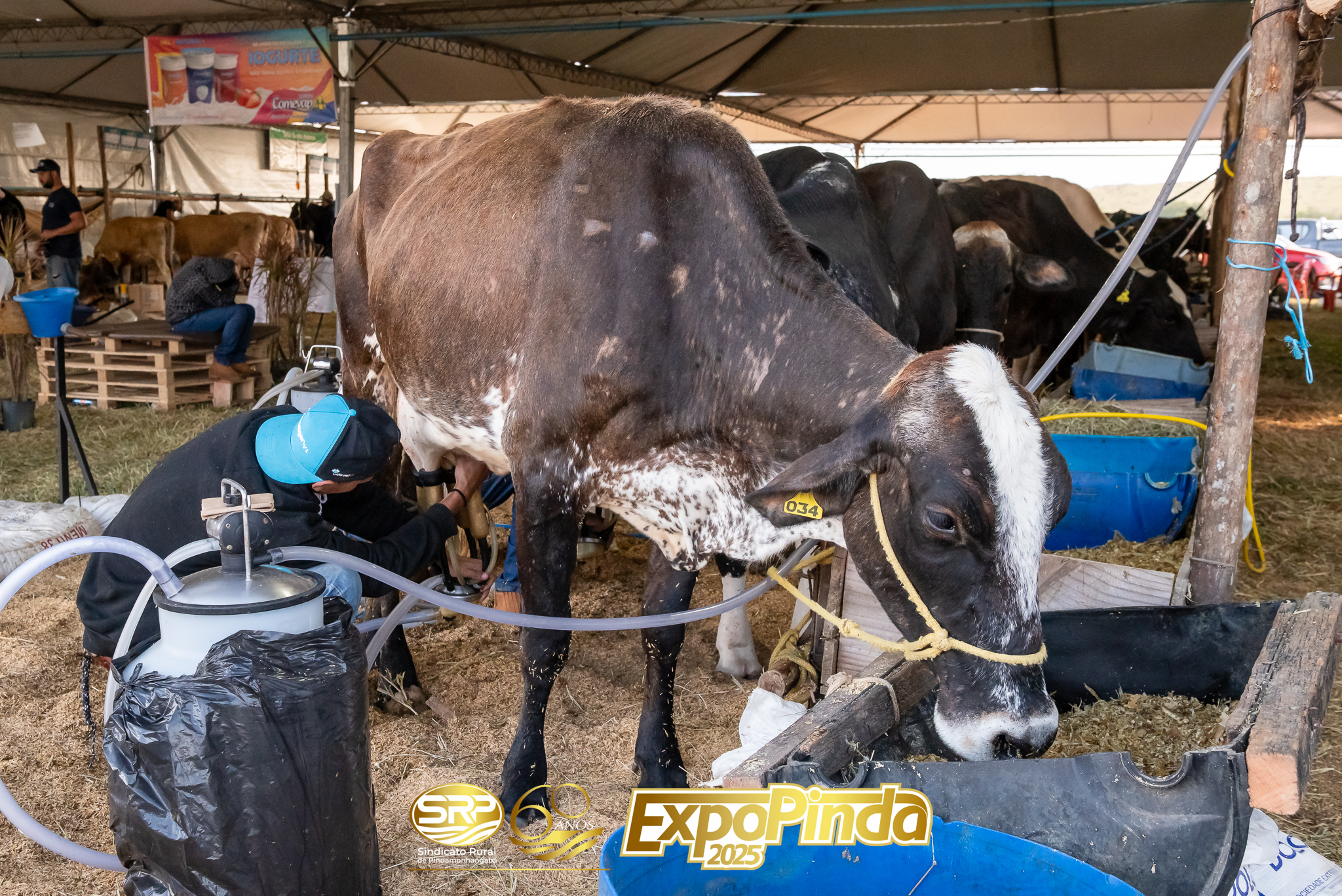 TorneioLeiteiro-029