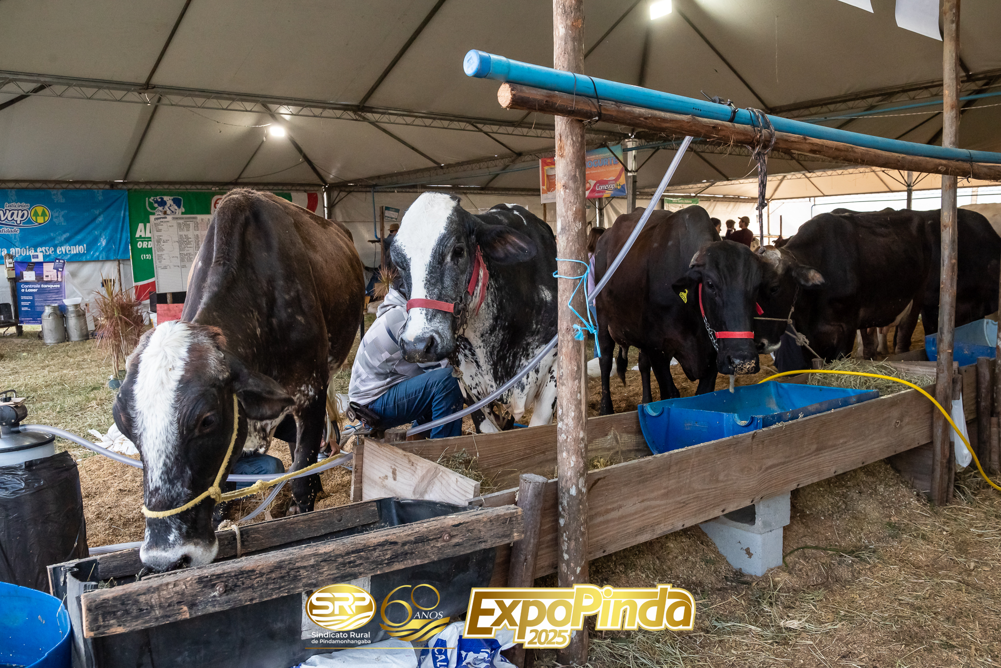 TorneioLeiteiro-030